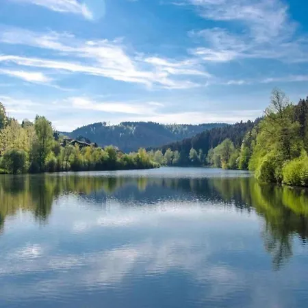 Apartment Apartment,