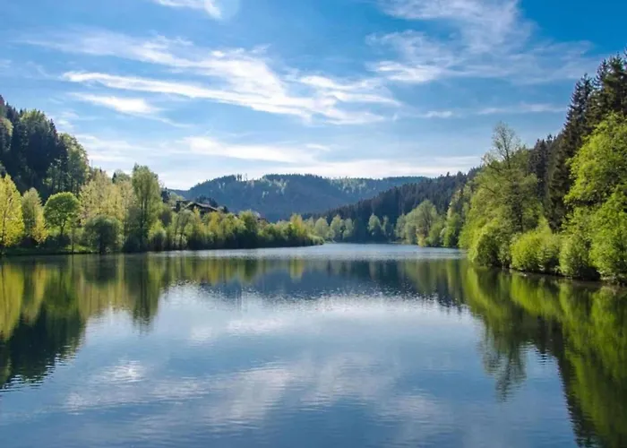 Apartament Apartment,